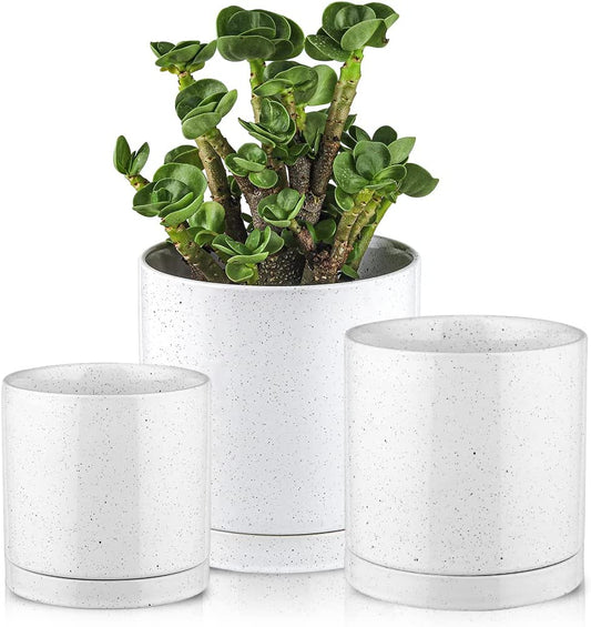 4 & 5 & 6 Inch Plant Pots with Drainage Holes and Saucers, Ceramic Planter Pots for Plants Indoor, Vintage Flower Pots Indoor with Saucer, Indoor Planters Pots Set of 3, Farmhouse Style (White)