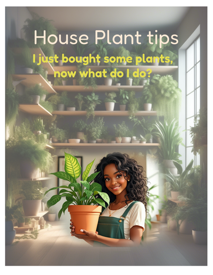 House Plant Tips  E-Book