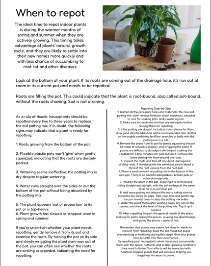 House Plant Tips  E-Book